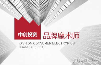 中创投资网站设计案例