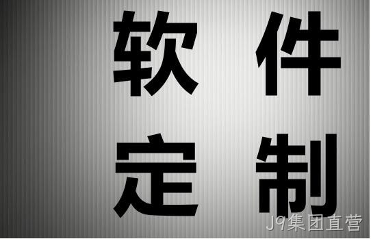 软件定制